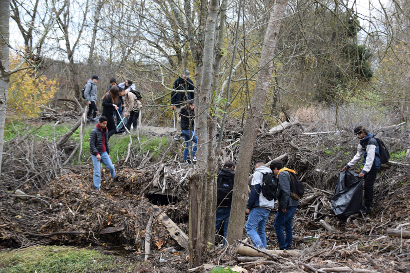 Adopt-A-Creek Program